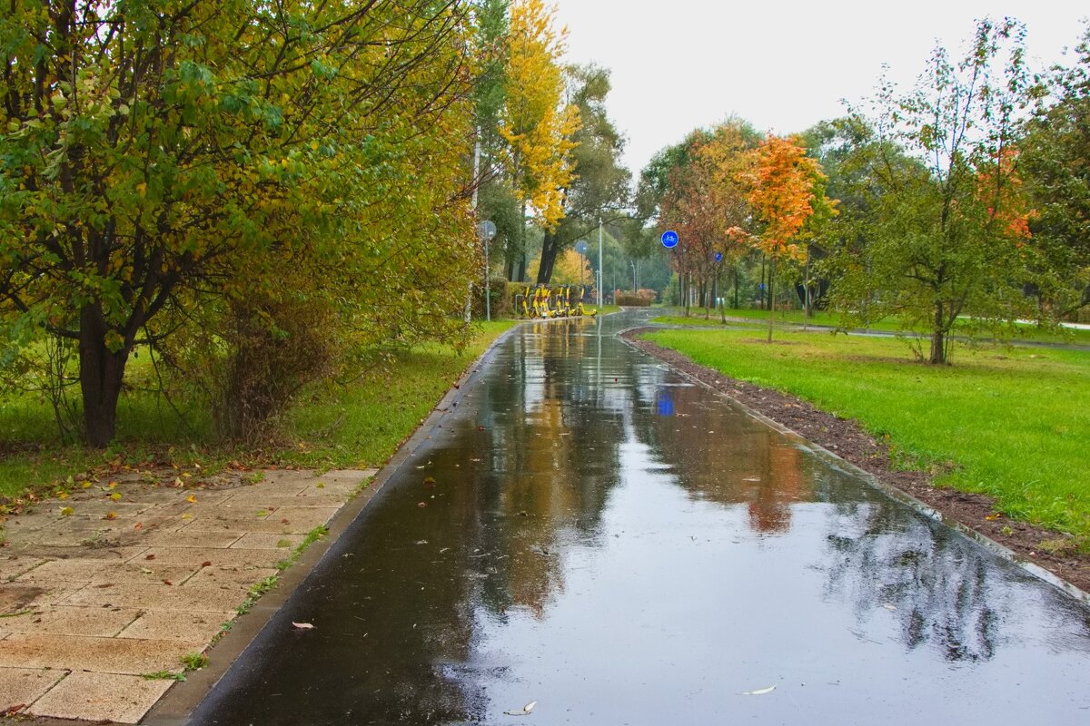 В нашем парке осень - Тамара Вебер