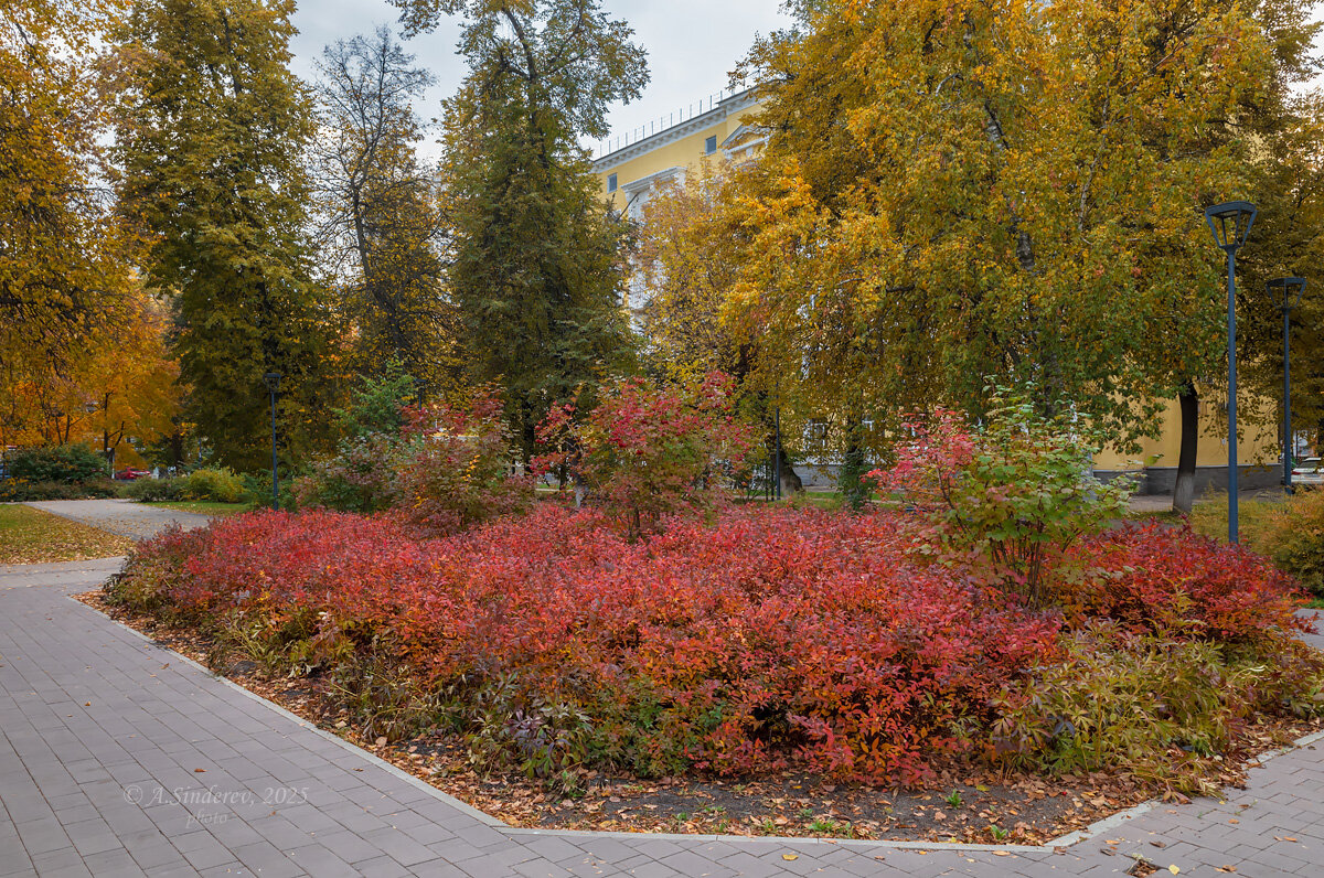 Осень в сквере - Александр Синдерёв