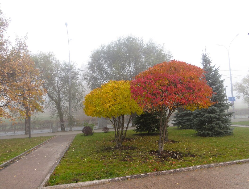 *** - Лариса С.