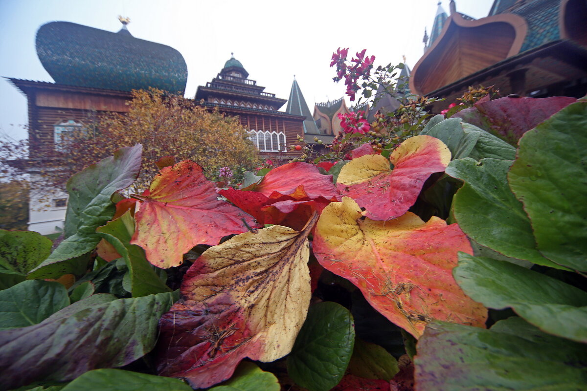 Коломенское 8 октября - Михаил Бибичков Коломенское 8 октября - Михаил Бибичков