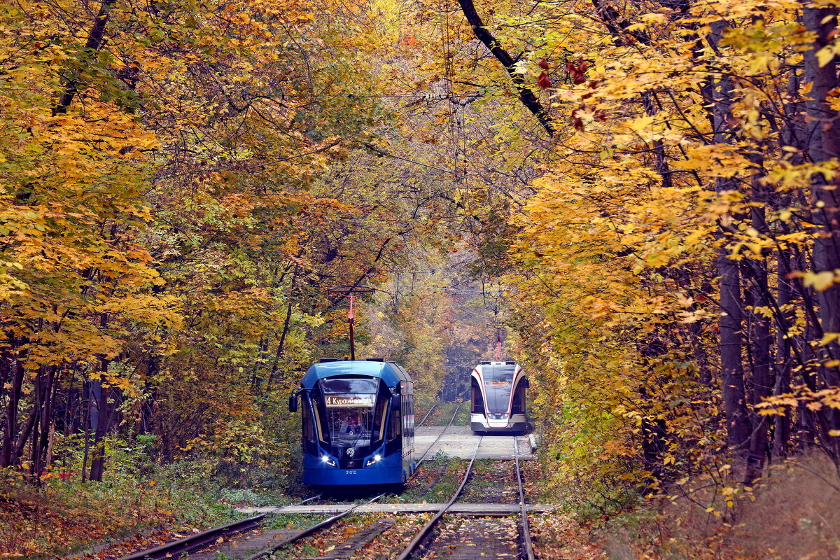 Сокольники 8 октября - Михаил Бибичков