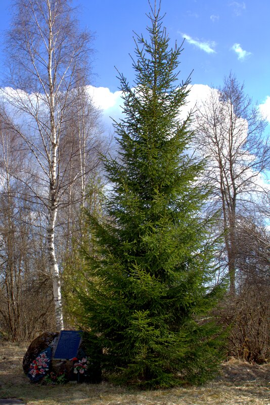 Колотушино - Артем 