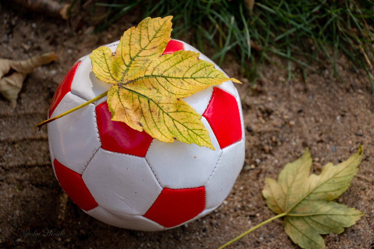 Сезон закрыт... - Николай Гирш