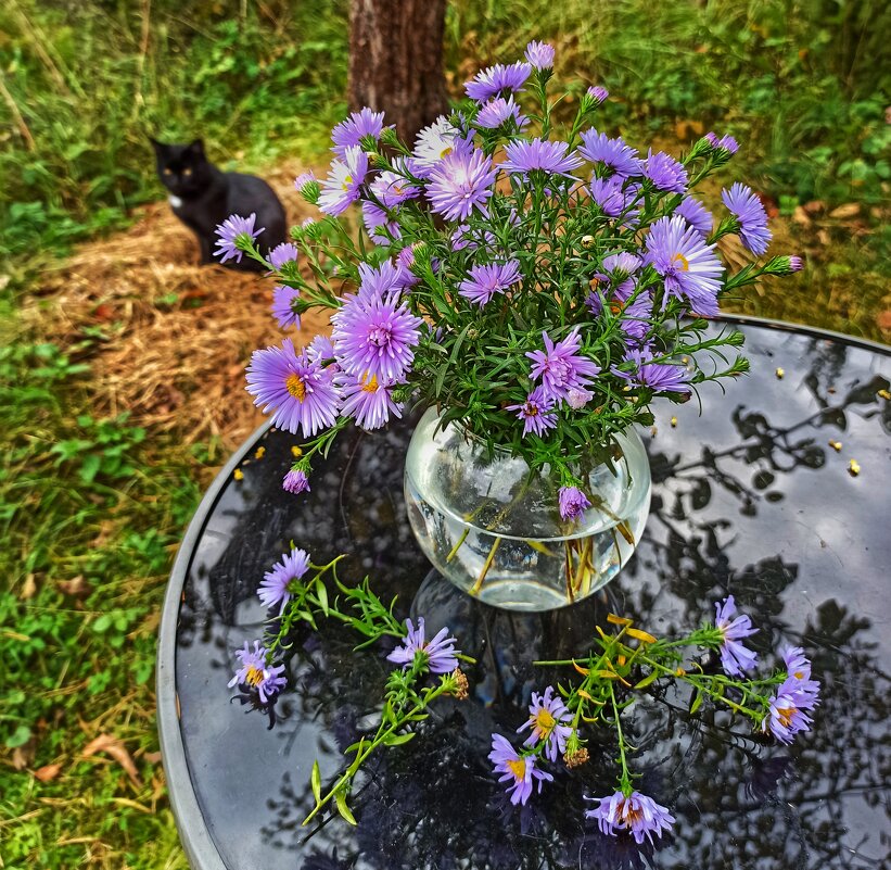 Терпенье , брат, терпенье! - veilins veilins