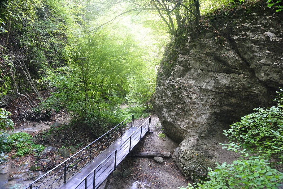 Однажды в Чечне - Марина Виноградова