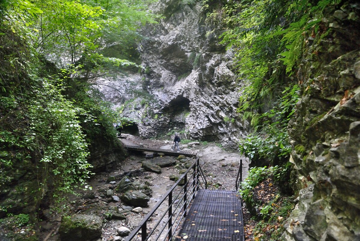 *** - Марина Виноградова