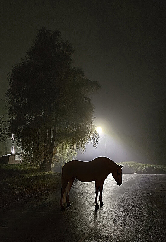 Туманный вечер - Oleg S 