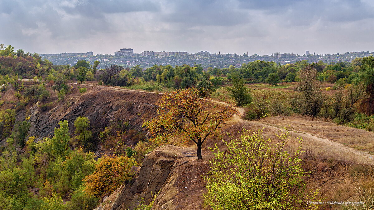 Пейзаж - Светлана Ищенко