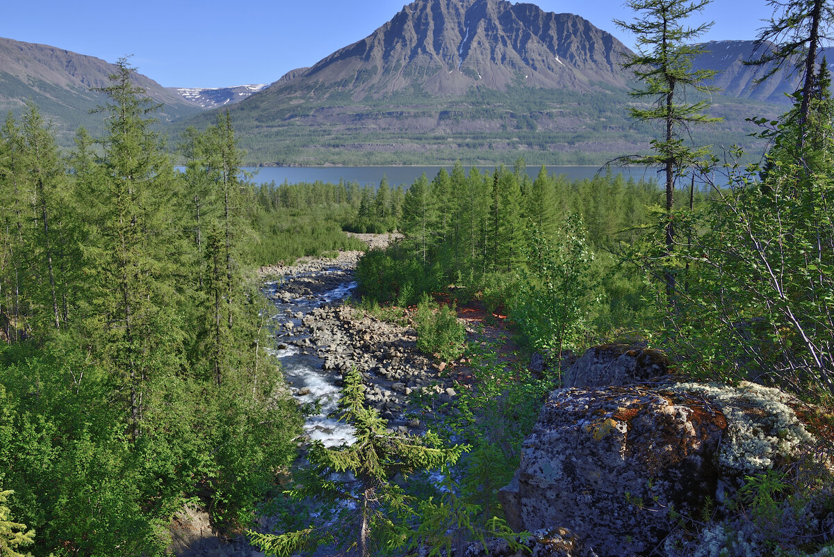 *** - Александр Хаецкий