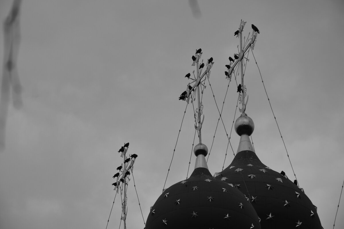 Птицы на крестах - Мария Яковлева