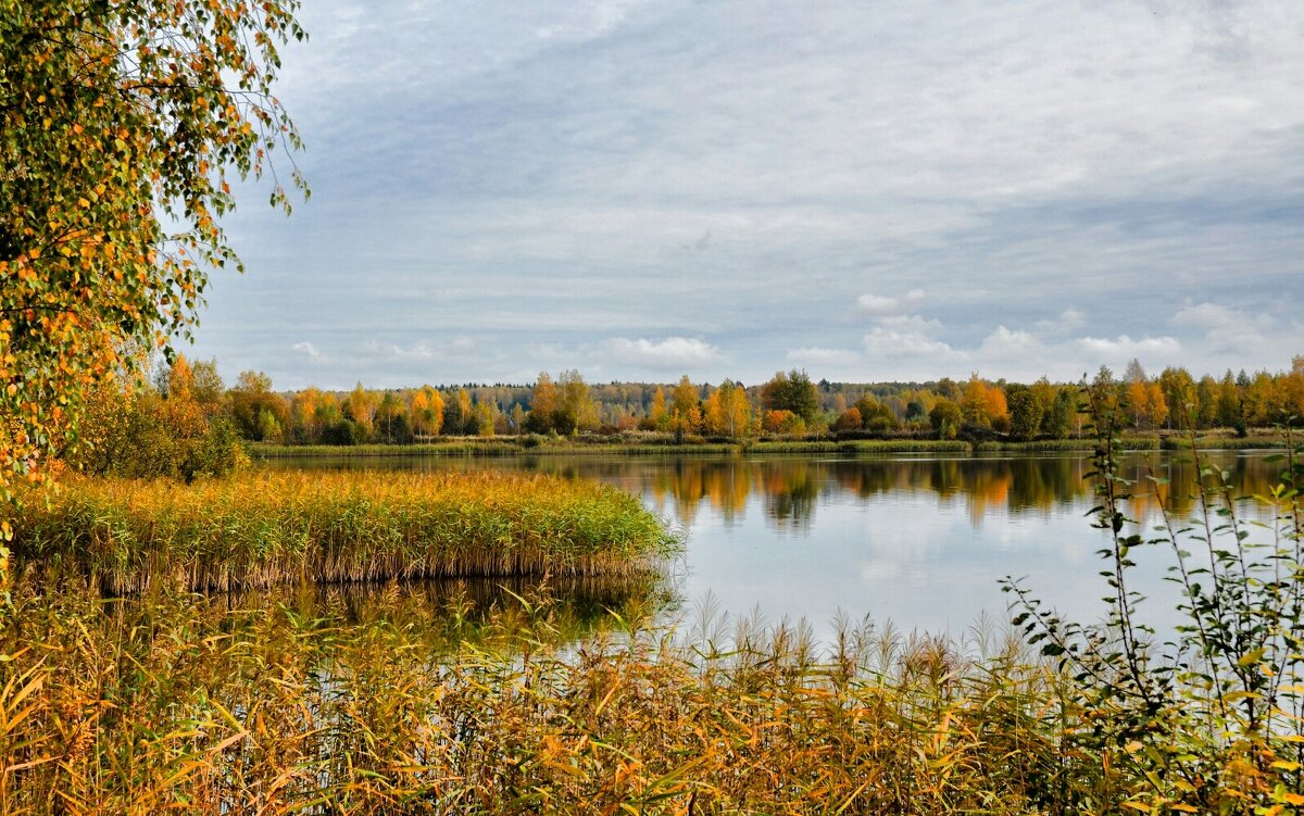 Золотая осень Смоленщины. - Милешкин Владимир Алексеевич Золотая осень Смоленщины. - Милешкин Владимир Алексеевич