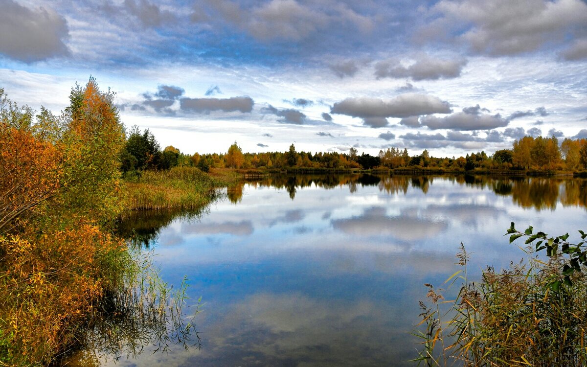 Золотая осень Смоленщины. - Милешкин Владимир Алексеевич 