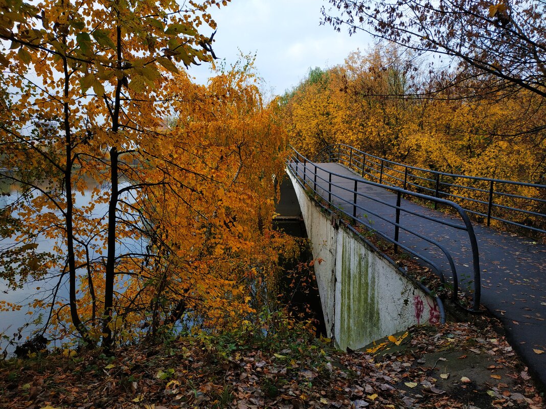 * * * - Андрей Лукьянов