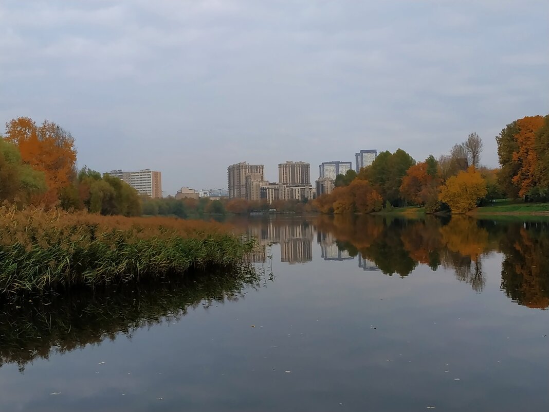 * * * - Андрей Лукьянов