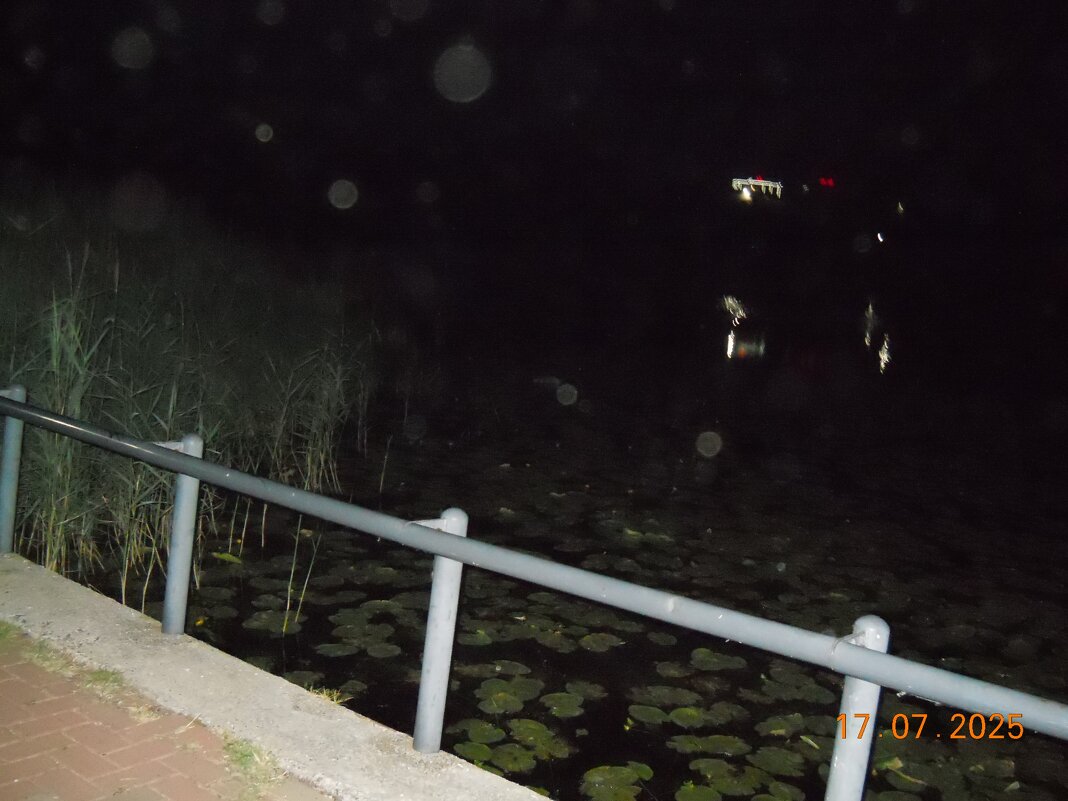 кувшинки - fogmeadowww m