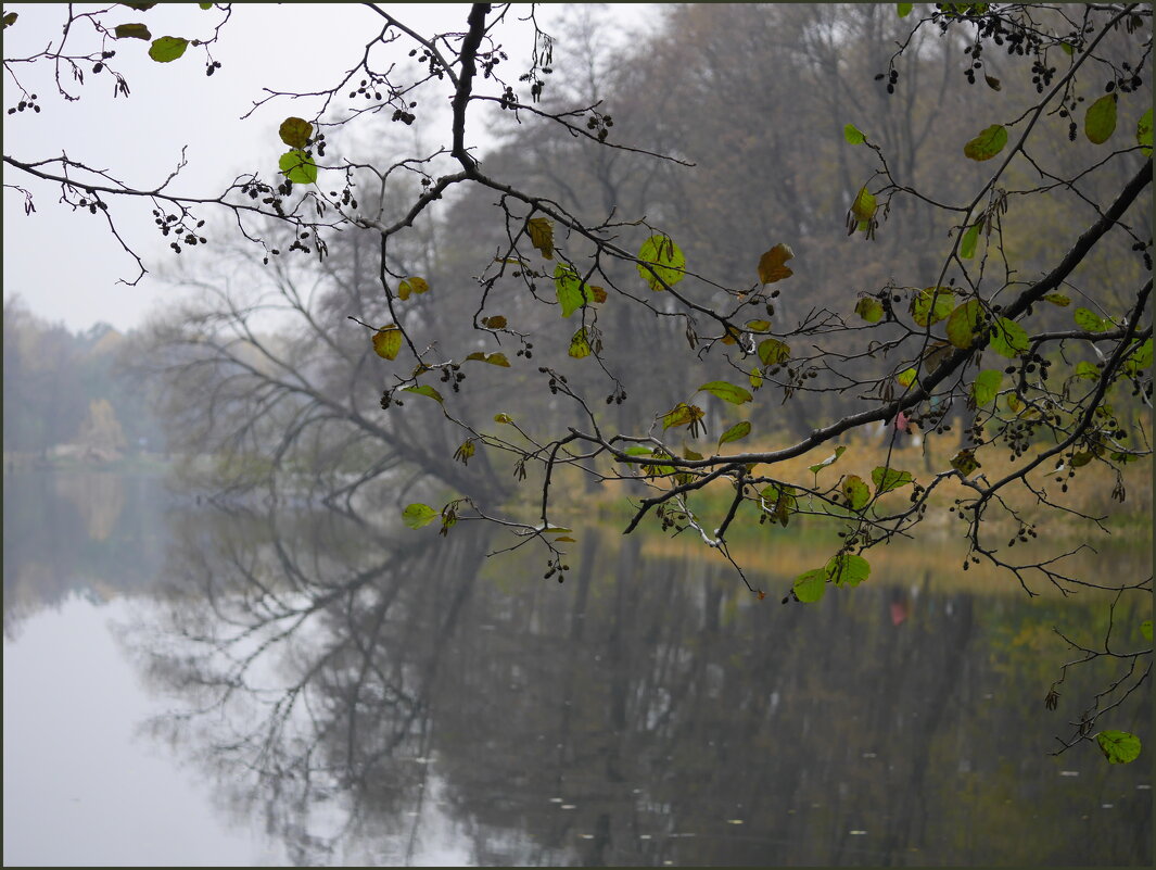 Октябрь - Наталья Rosenwasser