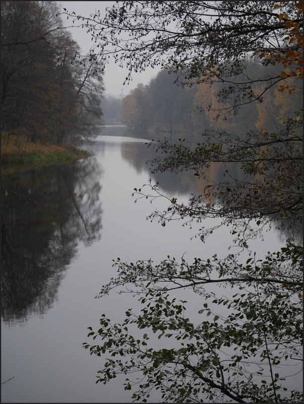 Октябрь, туман - Наталья Rosenwasser