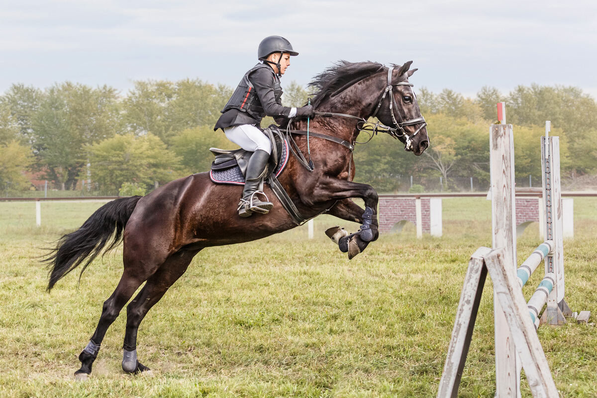 Конкур - SanSan 