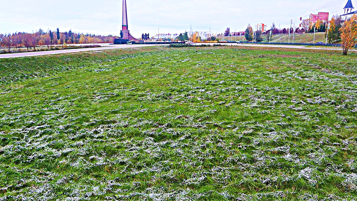 Октябрь...Зеленая трава и первый снежок! - Владимир 