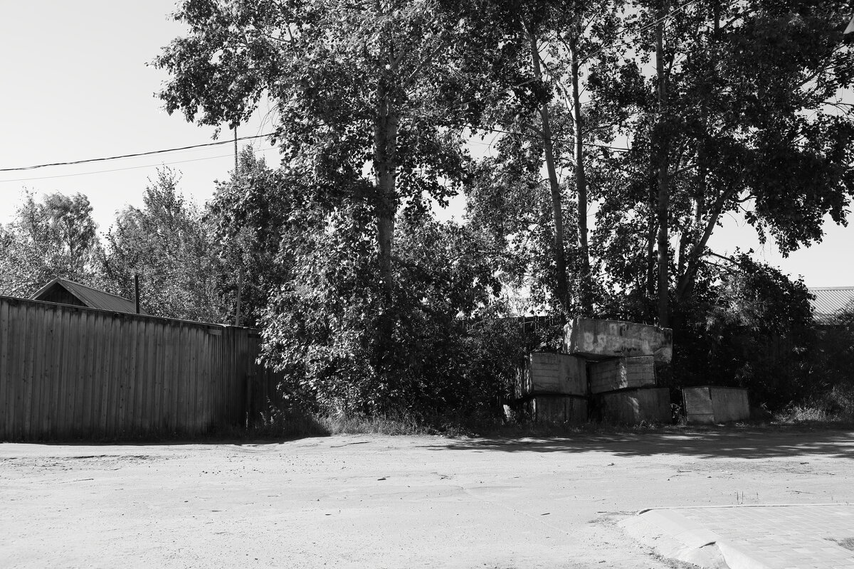 Фотография - Денис Безногов