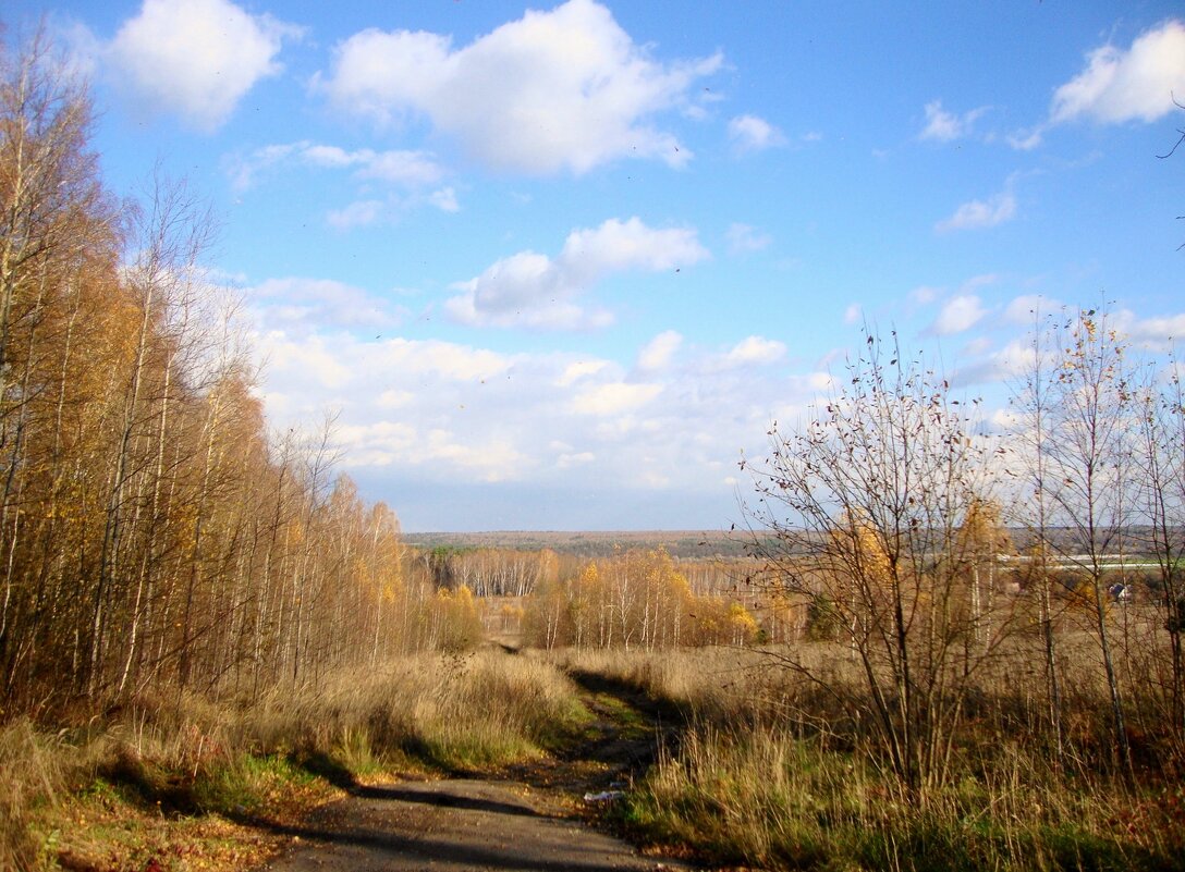 светлый и сухой октябрь ... - Галина Флора