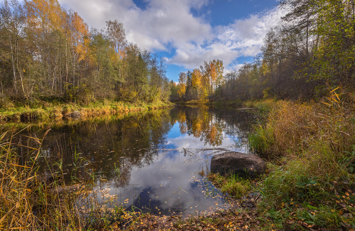 **** - Елизавета .