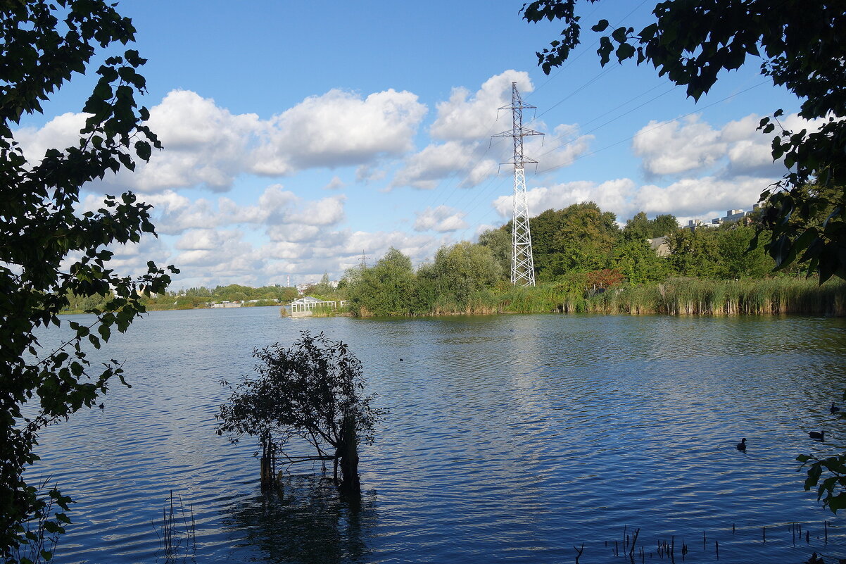Осенний пейзаж - Рита Симонова Осенний пейзаж - Рита Симонова