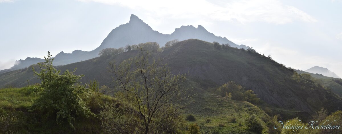 Природа Крыма - Amazing Cosmea