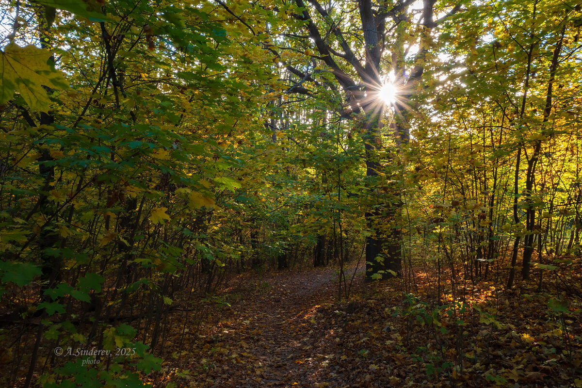Солнечный сентябрьский пейзаж - Александр Синдерёв