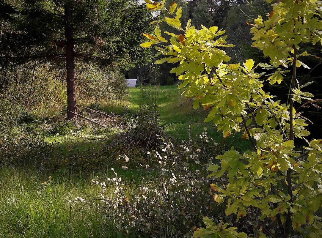 Дело к осени - Виктор Никитенко