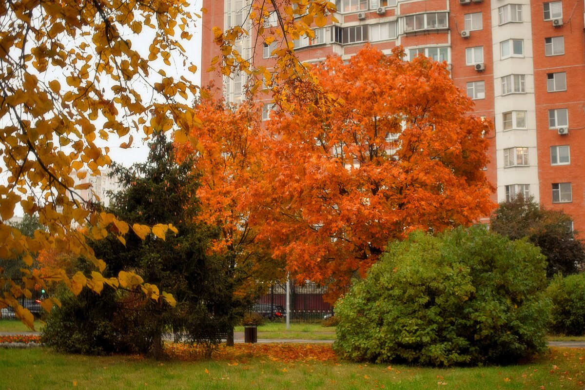 Осенние сумерки. - Татьяна Помогалова