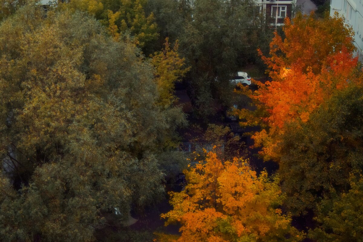 Вечером в нашем дворе. - Татьяна Помогалова