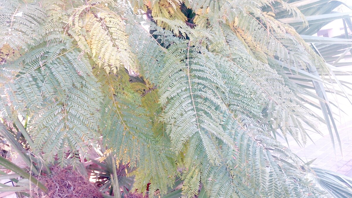 13  ОПЕН (486) - OPEN WAYS ALL