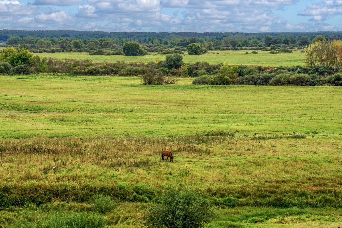 В сентябре - Игорь Сикорский