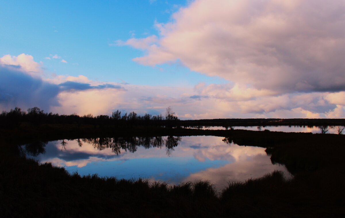 Отражение - Сергей Никифоров