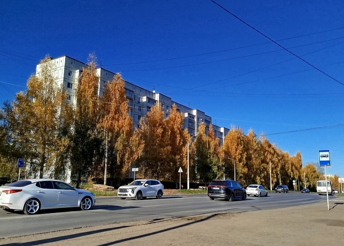 Жизнь города - светлана льдокова