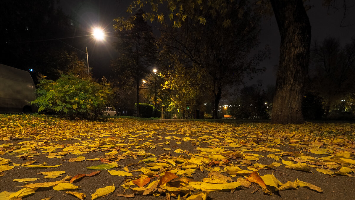 Осенний Вечер в Городе - юрий поляков