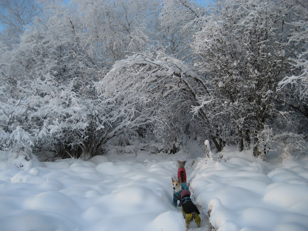 По тропинке - Anna Ivanova