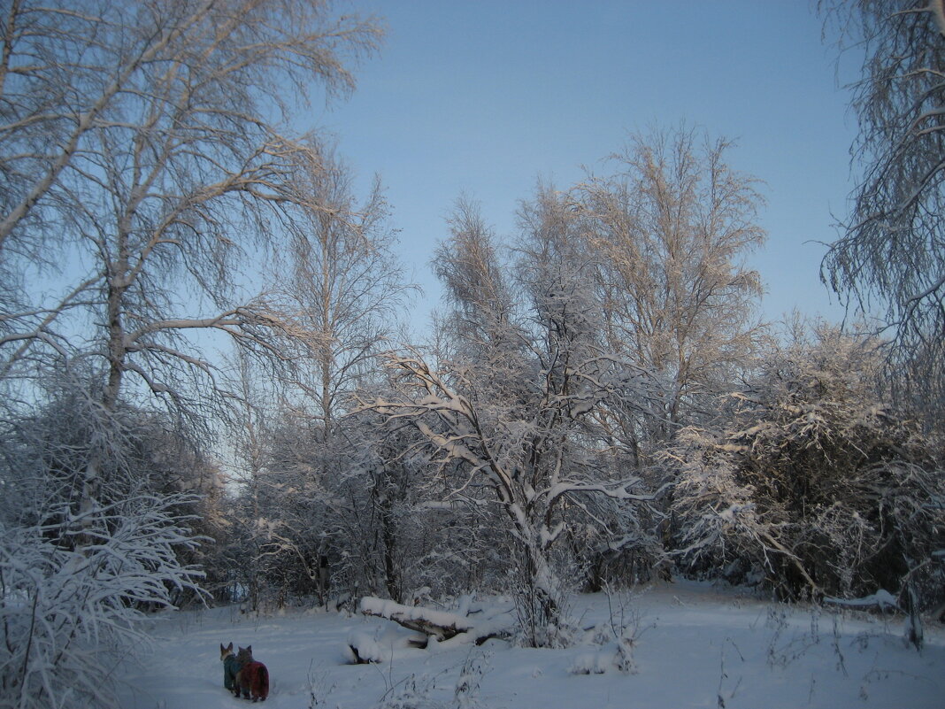 Зимние прогулки - Anna Ivanova