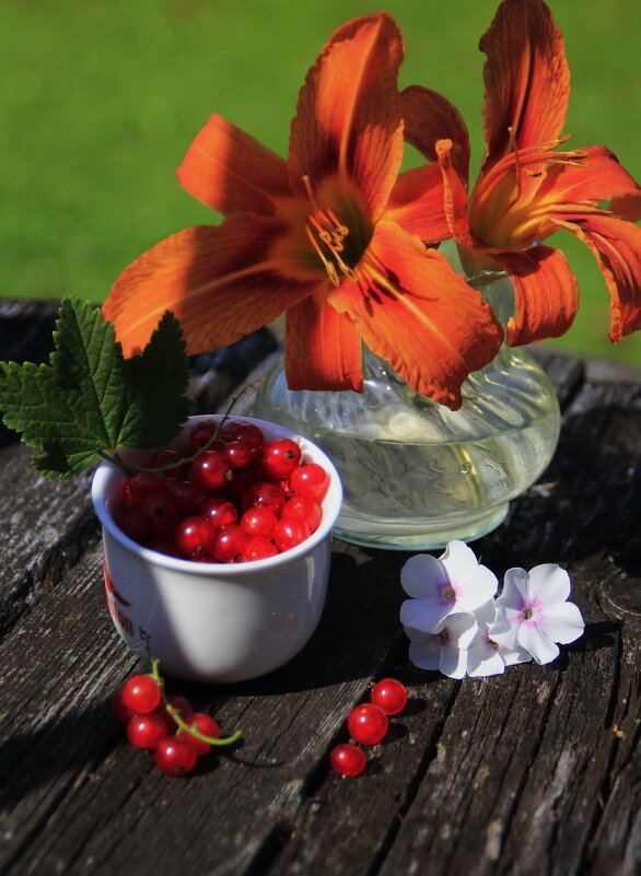 Сочное лето .. - Татьян@ Ивановна