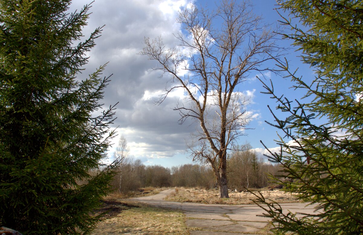 Колотушино - Артем 