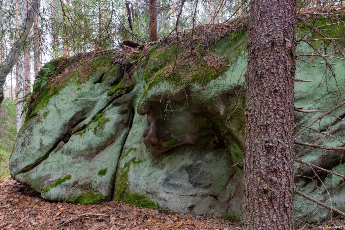 Прилег - Евгений Тарасов 