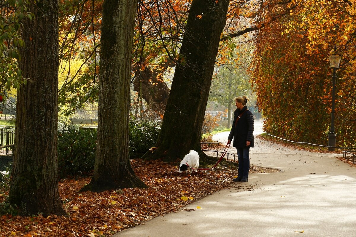 Прогулка - Юрий. Шмаков
