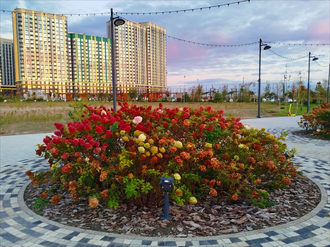 В парке! - Надежда 