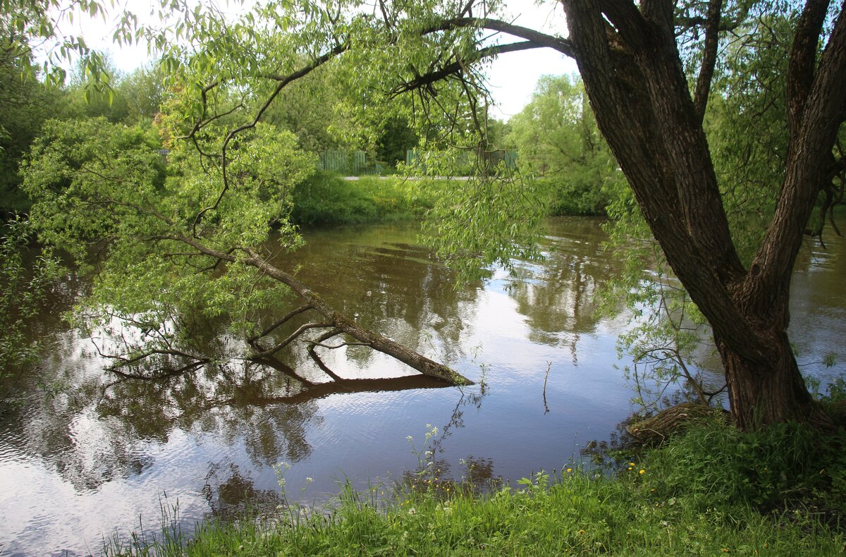 р. Стрелка - Наталья Герасимова