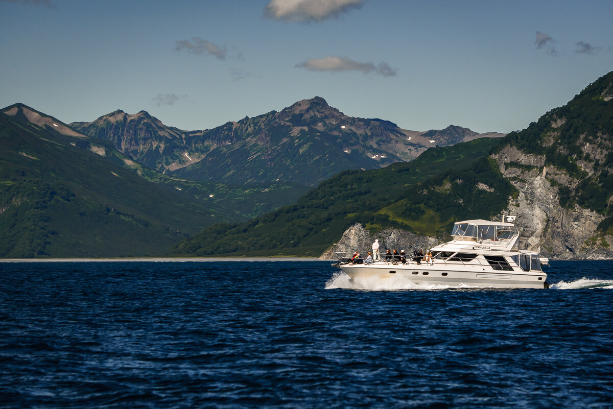 ... - Жора Житников