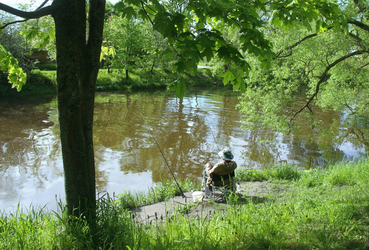 *** - Наталья Герасимова