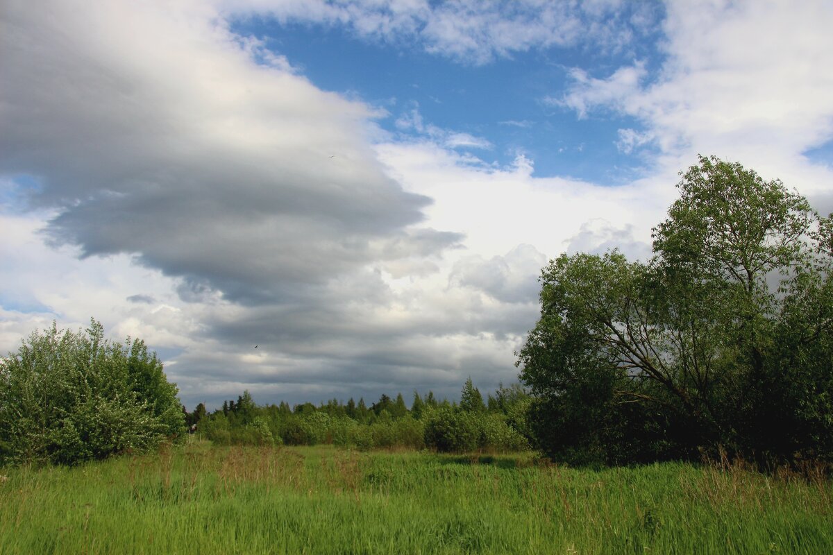 Стрельна - Наталья Герасимова