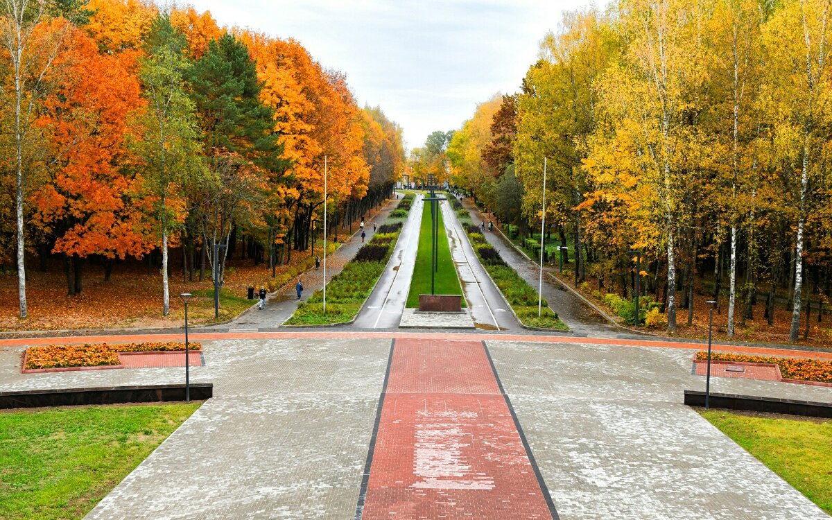 Краски золотой осени. - Милешкин Владимир Алексеевич Краски золотой осени. - Милешкин Владимир Алексеевич