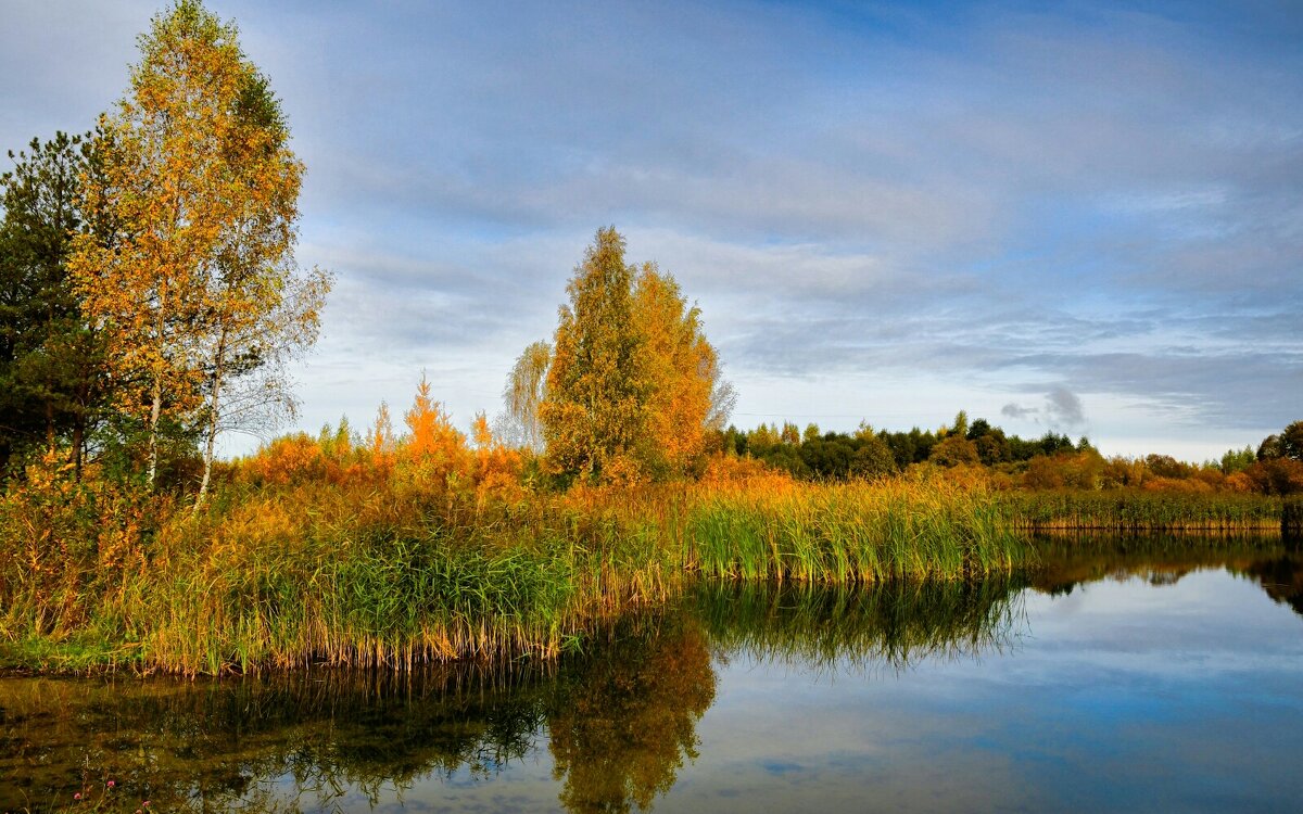 Краски золотой осени. - Милешкин Владимир Алексеевич Краски золотой осени. - Милешкин Владимир Алексеевич